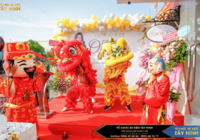 Tổ Chức Lễ Khai Trương Giá Rẻ Tại Tây Ninh Theo Xu Hướng